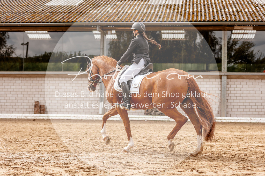3I6A7453 | Stimmungsvolle Portraits und Reitsportfotografie im Ruhrgebiet und im Münsterland.

Pferdefotografie, Hundefotografie, Tierfotografie, Reportagen, Portraits von Tier und Mensch, Turnierfotografie in Bochum, Recklinghausen, Marl, Haltern am See, Dülmen.. - Realisiert mit Pictrs.com