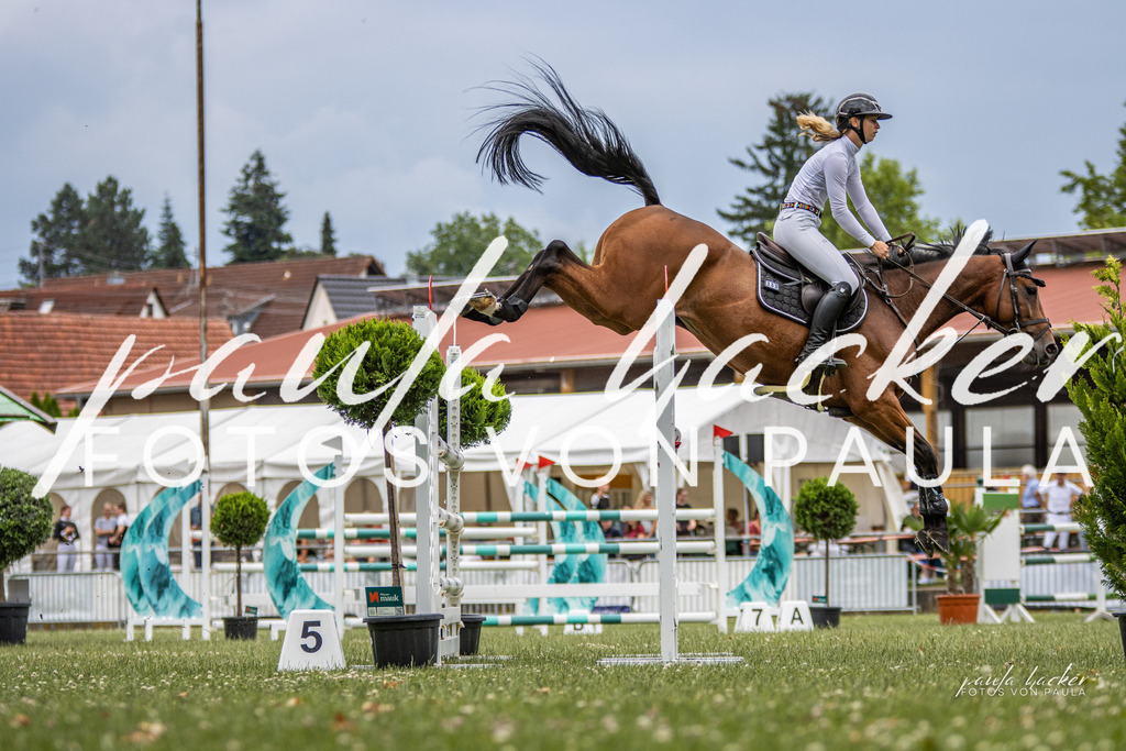 IMG_7369 | Erleben Sie dynamische Sport- und emotionale Tierfotografie in Süddeutschland mit Fotos von Paula. Spezialisiert auf Pferde- und Hundefotografie sowie Sportevents. Kontaktieren Sie mich für einzigartige und ausdrucksstarke Bilder Ihrer besonderen Momente.
