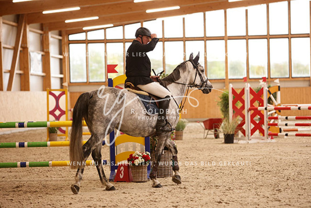 1J2A4658Marc Scheel_ Cariba HB_ Kn069_ Hohen Wieschendorf_ Glantz | Foto- und Videografie für alles rund ums Pferd. Hochwertige Bilder und Videos vom Spring- und Dressurreiten, Voltigieren & mehr. Jetzt aktuelle Veranstaltungen und Preise im Shop ansehen. - Realisiert mit Pictrs.com