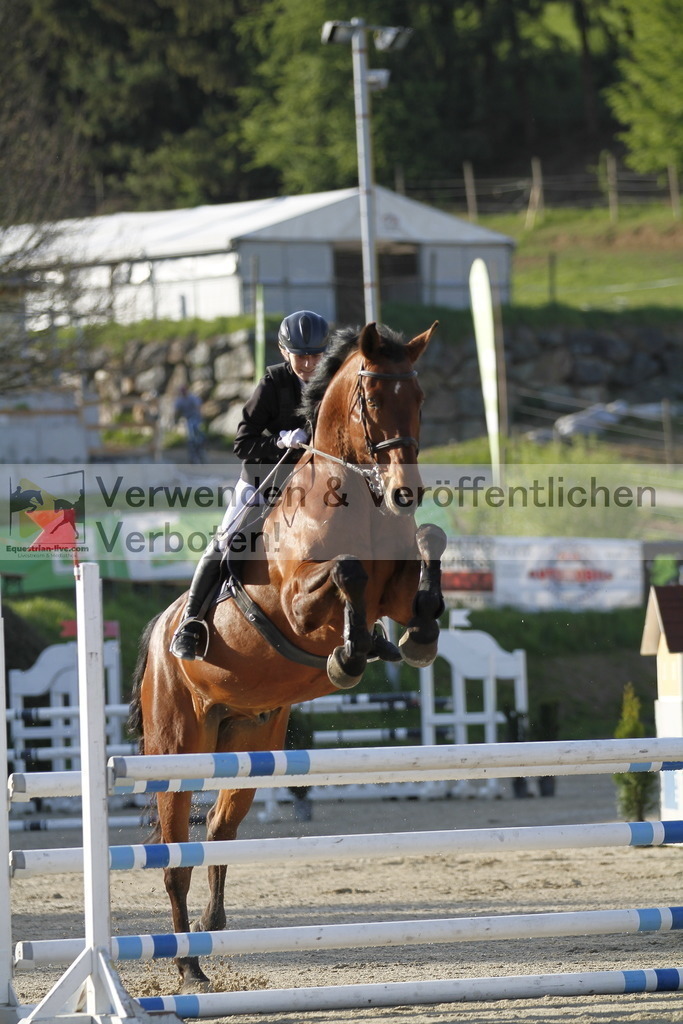 _MG_8438 | equestrian-live-com