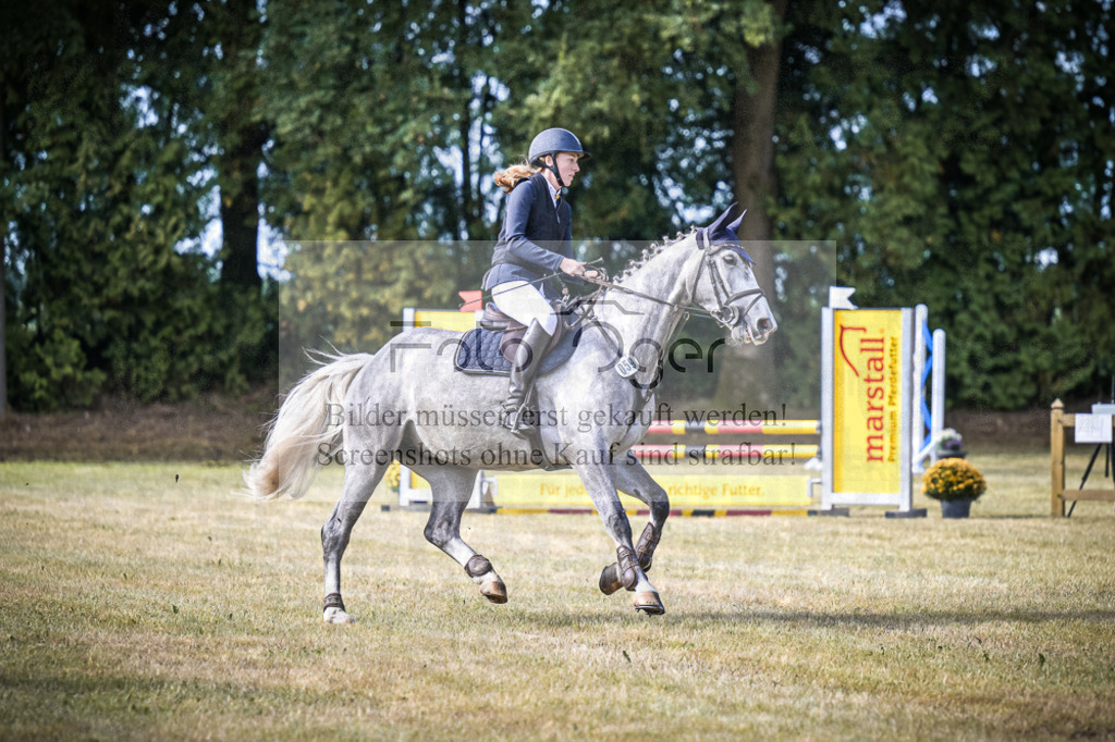 DOS_0549 | Entdecke hochwertige Reitturnierfotos von Foto Oger. Professionell, emotional und authentisch – jetzt Lieblingsmomente im Shop bestellen.Deutschlandweite Turnierfotografie. - Realisiert mit Pictrs.com