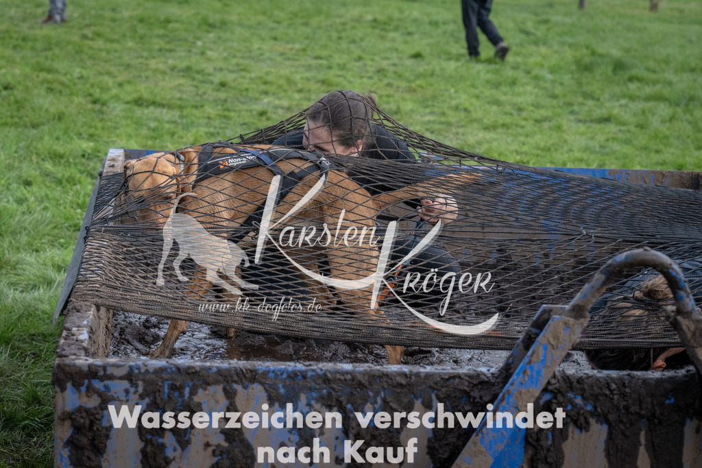 1431_ZZ92613 | kk-dogfotos