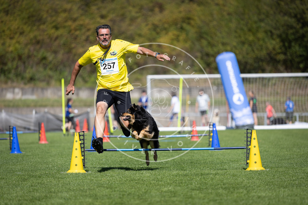 Pfotenfotografie_DV3A6391 | Hundefotografie, Tierfotograf, Pfotenfotografie, Fotoshooting Hund, Hunde Portrait, Hundesport, Hundeportraits, Heideshooting, Hunde, Sportfotograf, Hundefotograf, Turnierhundsport, THS,  - Realisiert mit Pictrs.com
