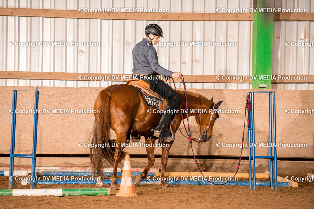 BA400076 | dv-media-shop - Realisiert mit Pictrs.com