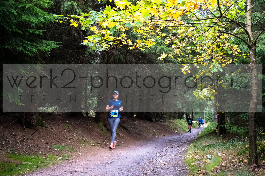 Rennsteiglauf 2021 | Marathon Neuhaus/Rwg. - Schmiedefeld
