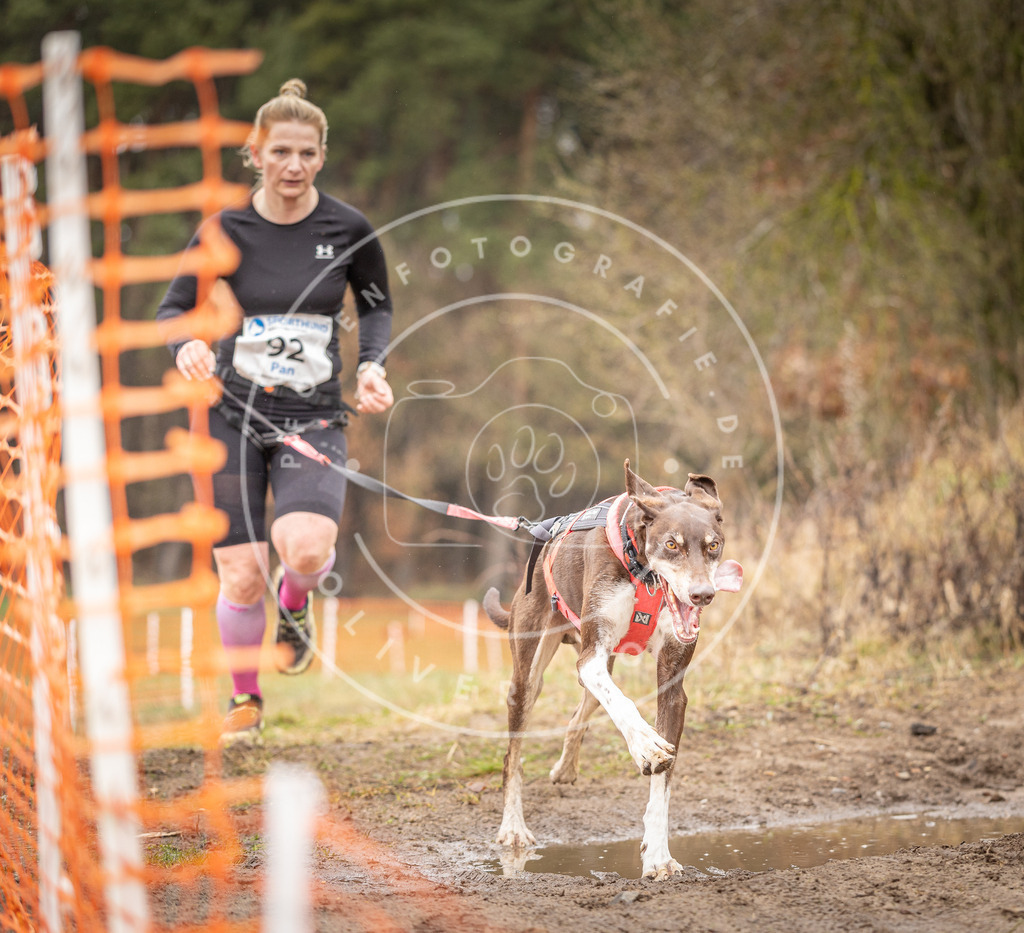 DV3A0426 | Hundefotografie, Tierfotograf, Pfotenfotografie, Fotoshooting Hund, Hunde Portrait, Hundesport, Hundeportraits, Heideshooting, Hunde, Sportfotograf, Hundefotograf, Turnierhundsport, THS,  - Realisiert mit Pictrs.com