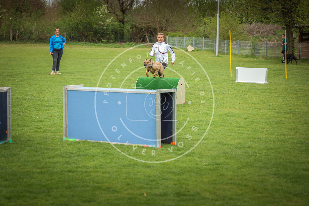 Pfotenfotografie_0L8A9775 | Hundefotografie, Tierfotograf, Pfotenfotografie, Fotoshooting Hund, Hunde Portrait, Hundesport, Hundeportraits, Heideshooting, Hunde, Sportfotograf, Hundefotograf, Turnierhundsport, THS,  - Realisiert mit Pictrs.com