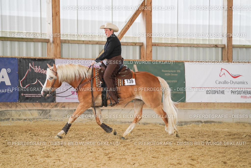 DSC01774 | Pferdegrafie