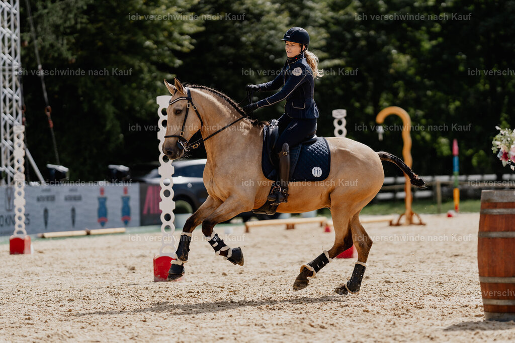 Diana11_FHC2025-01650 | working equitationturnier fotograf videograf stoibphotography marixx film working equitation deutschland reitsport turnierfotografie eventfotografie equestrian events