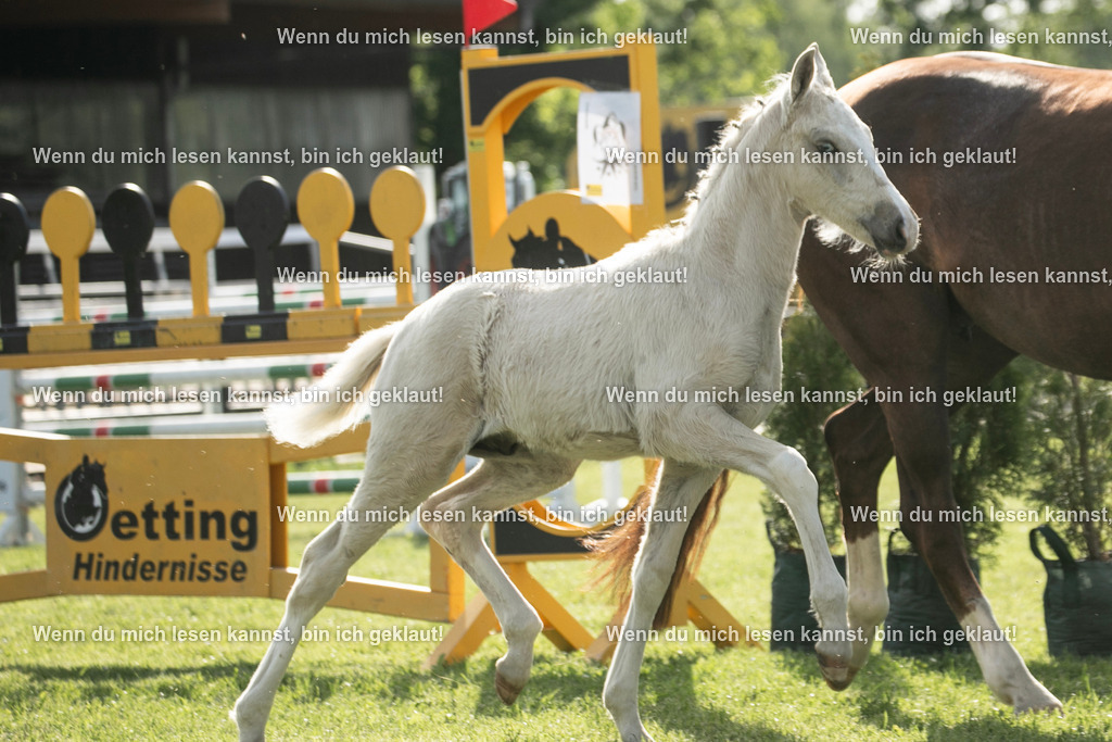 598A7004 | photographylinaismer - Realisiert mit Pictrs.com