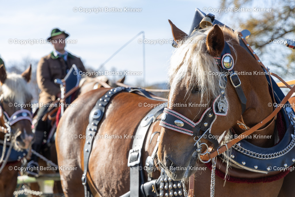 LBT24-1468 | foto-bettina-krinner - Realisiert mit Pictrs.com