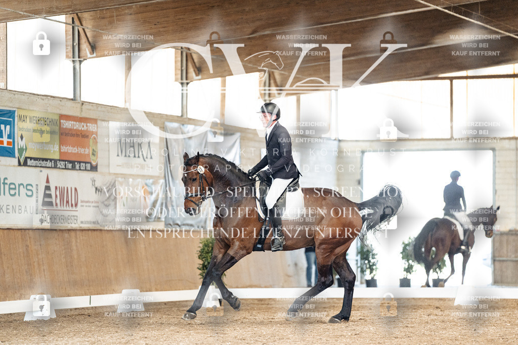 CK901292 | Turnierfotografie Pferdefotografie Trier Rheinland-Pfalz Pferdesport Reitsport Tierfotografie Sportfotografie Pferdevideo Pferdevideografie Equestrianvideography equestrianphotography  - Realisiert mit Pictrs.com