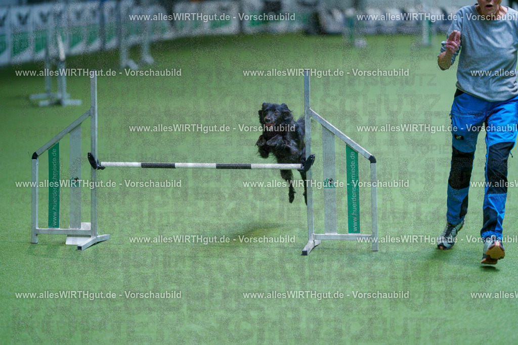 @allesWIRTHgut_Tierfotografie - www.allesWIRTHgut.de - 2604261229-7R501036 | Professionelle Tierfotografie in Mönchengladbach von Daniel Wirth (allesWIRTHgut). Liebevolle & natürliche Bilder von Hunden & Katzen für unvergessliche Erinnerungen.