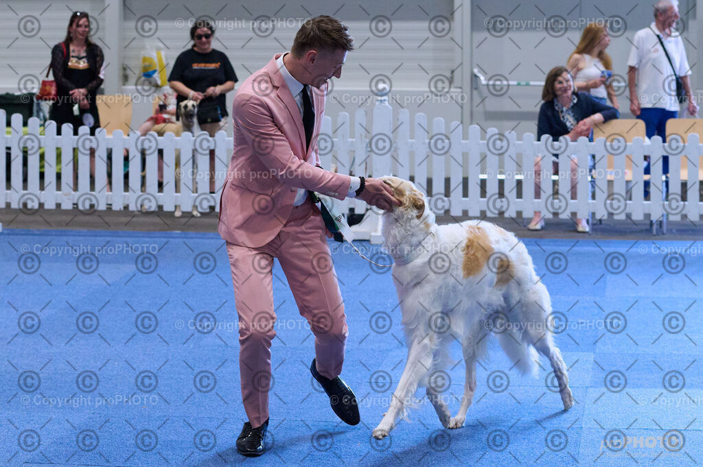 202406_ÖKV-IHA-Tulln24_DSC_4296 | proPHOTO - Realisiert mit Pictrs.com