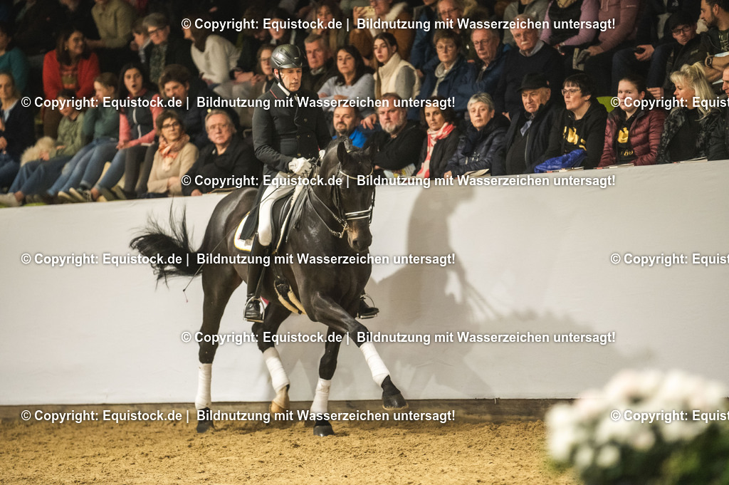 20240302_Hengstvorstellung_Marbach_TOMsPiC_1427 | equistock