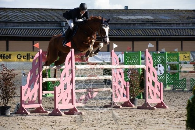 2B4A3762 | pixelfaenger - Realisiert mit Pictrs.com