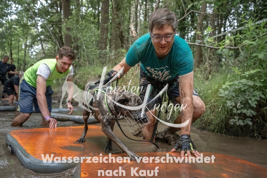 1209_ZZ97287T | kk-dogfotos