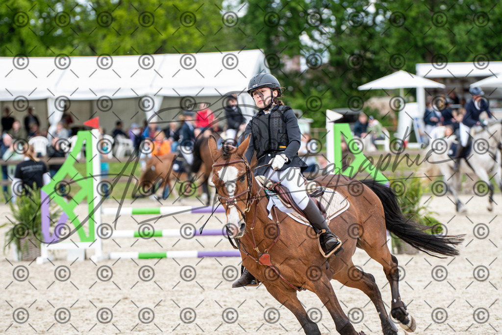 KPT_6437 | andre_photographic