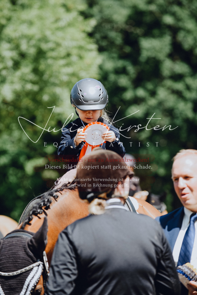 DSC_2652 | Pferde- und Turnierfotografie in Westsachsen. Pferdeportraits, Auftragszeichnungen und intuitive Kunst.