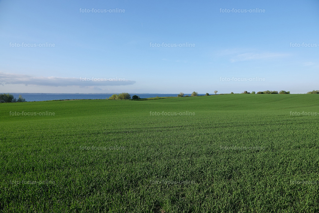41 | Landscape photography, spectacular waves, Atlantic Ocean, Baltic Sea