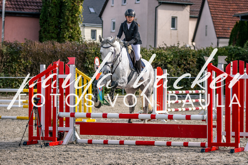IMG_5585 | Erleben Sie dynamische Sport- und emotionale Tierfotografie in Süddeutschland mit Fotos von Paula. Spezialisiert auf Pferde- und Hundefotografie sowie Sportevents. Kontaktieren Sie mich für einzigartige und ausdrucksstarke Bilder Ihrer besonderen Momente. - Realisiert mit Pictrs.com