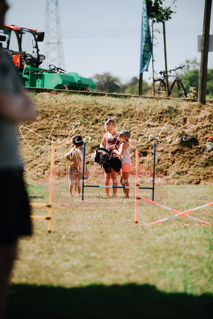 DSC_3004 | Pferde- und Turnierfotografie in Westsachsen. Pferdeportraits, Auftragszeichnungen und intuitive Kunst.