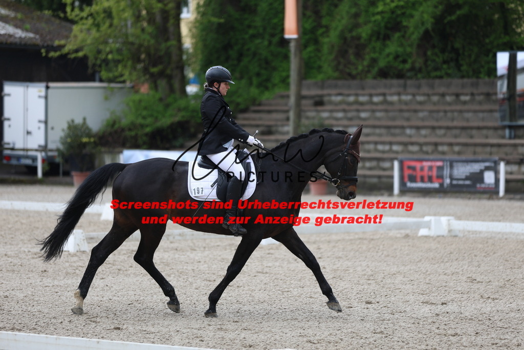 A40A8531 | lmwpictures - Realisiert mit Pictrs.com