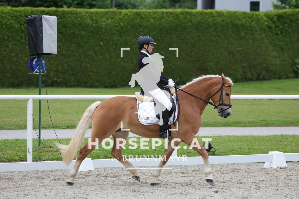 0P6A7088 | Willkommen bei Brunnmayr - Design & Fotografie – Ihrem Spezialisten für Reitturniere und Pferdeveranstaltungen in Oberösterreich, Salzburg und Bayern! Seit über 17 Jahren sind wir leidenschaftlich dabei.