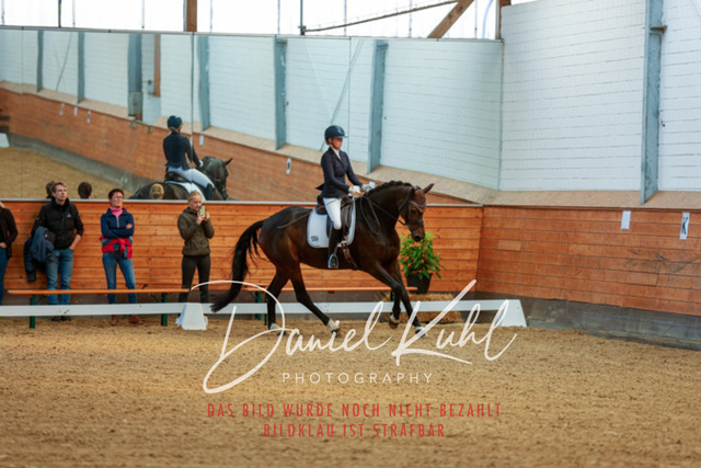 _62_4355 | Turniersportfotografie; Pferdefotografie; Dressurfotografie