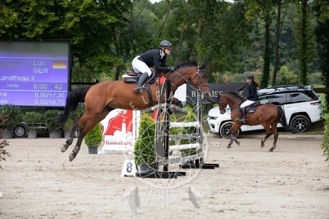 2B4A1484 | pixelfaenger - Realisiert mit Pictrs.com