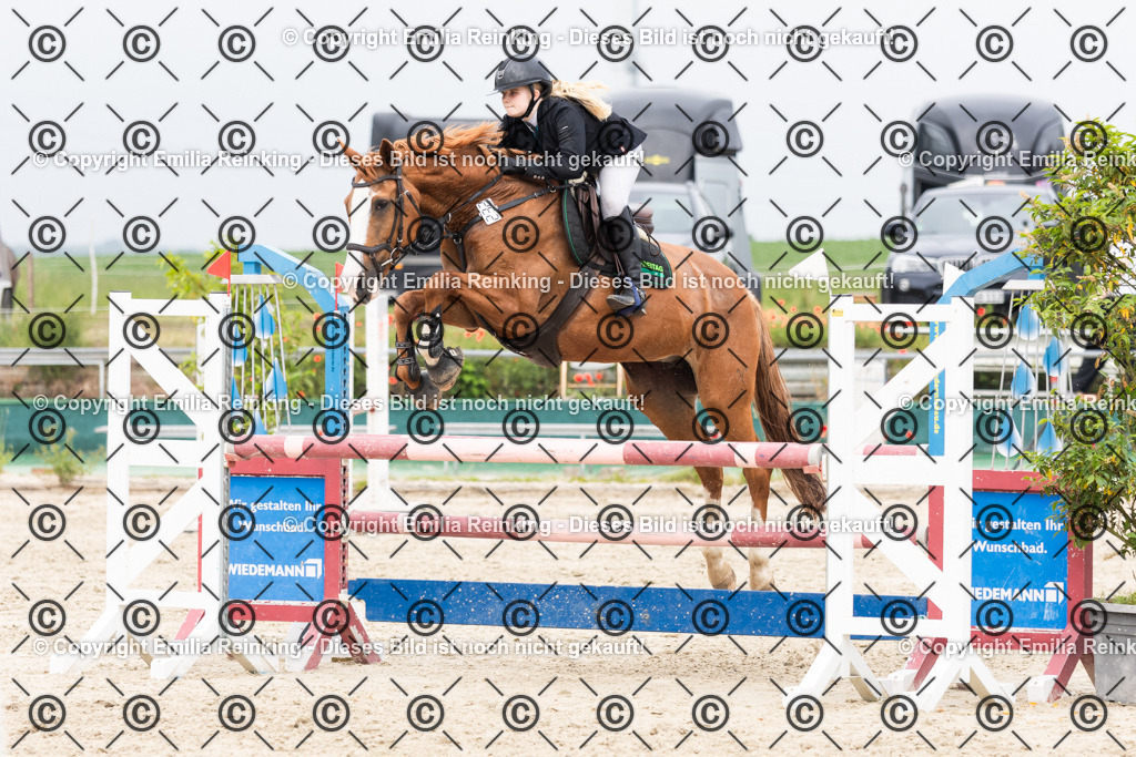 CL5A1917 | Emilia Reinking Fotografie - Realisiert mit Pictrs.com