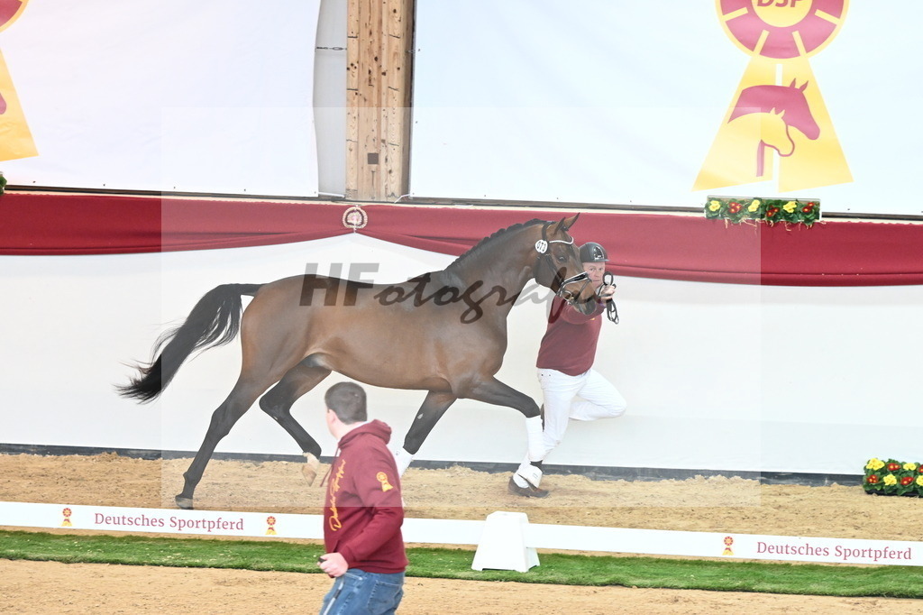 Kat.-Nr. 73 v. Va Bene_Kuntz_2240966 | hf-fotografie - Realisiert mit Pictrs.com
