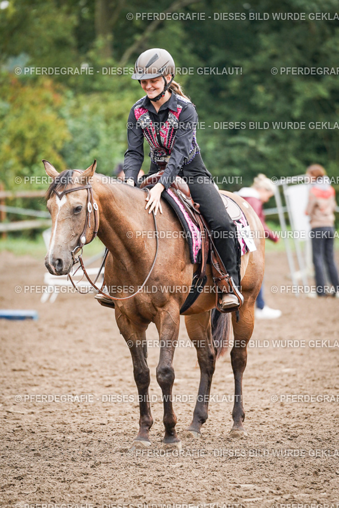 DSC02679 | Pferdegrafie