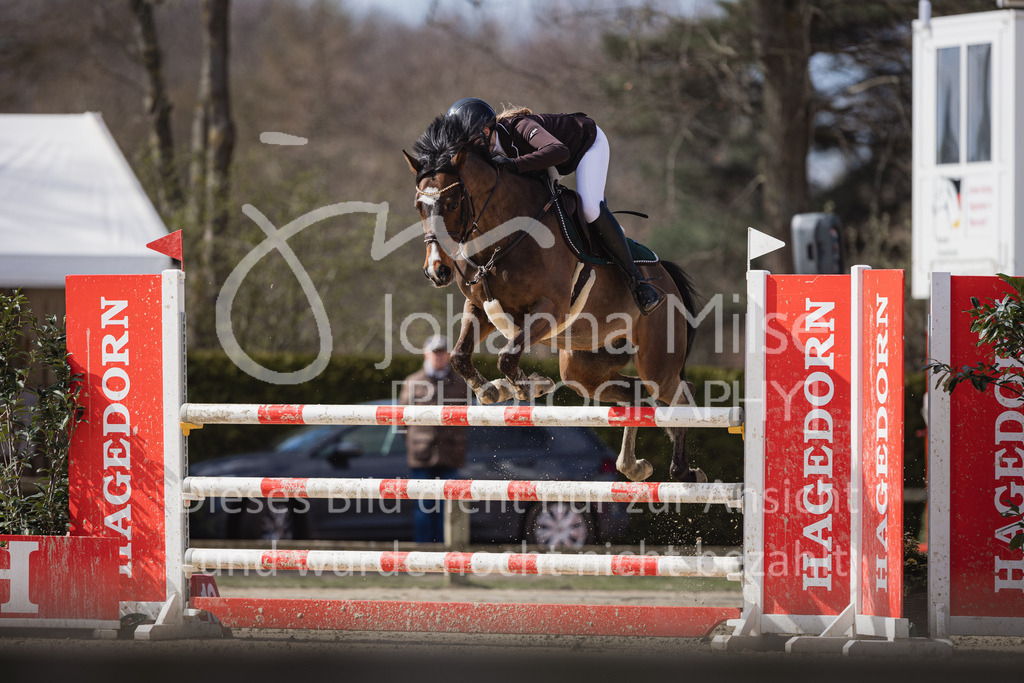 230402_MünsterHandorf_Teamspringen-580 | Deine schönsten Turniermomente als professionelle Fotos! Entdecke hochwertige Pferdesport-Fotografie im Online-Shop. Jetzt Fotos finden & bestellen!