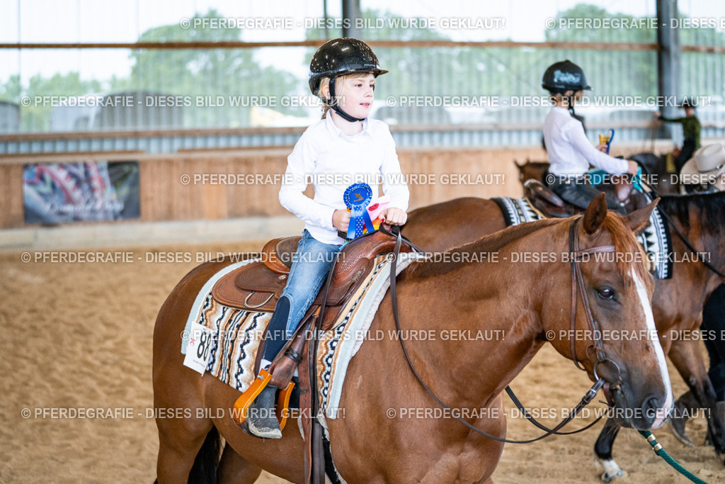 DSC01099 | Pferdegrafie