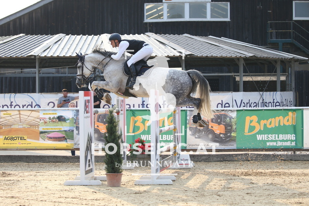 DL2Q5563 | Willkommen bei Brunnmayr - Design & Fotografie – Ihrem Spezialisten für Reitturniere und Pferdeveranstaltungen in Oberösterreich, Salzburg und Bayern! Seit über 17 Jahren sind wir leidenschaftlich dabei.