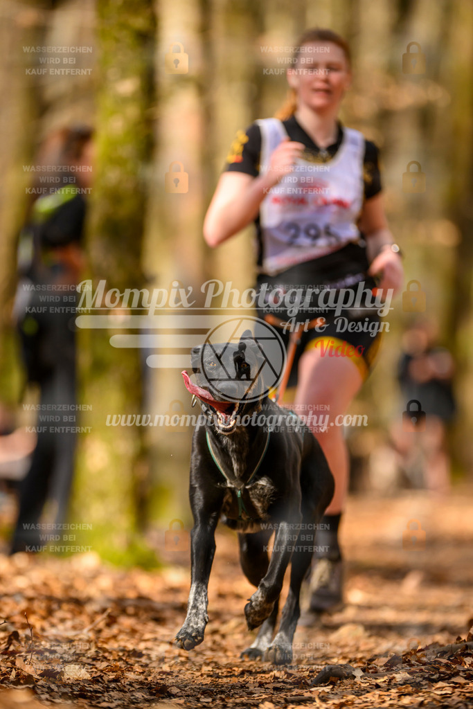 MompixPhotography_Habay2025_SA_CCC-155 | PayLife