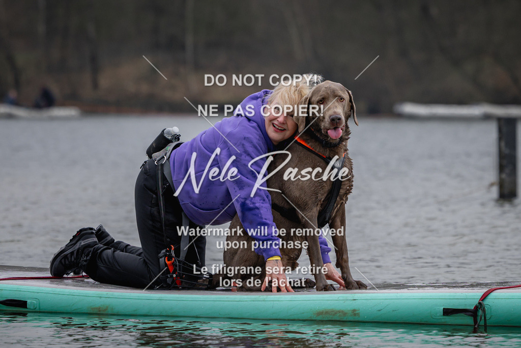 nelerasche_Hulsbeek_Sa1430-1515_50 | nelerasche