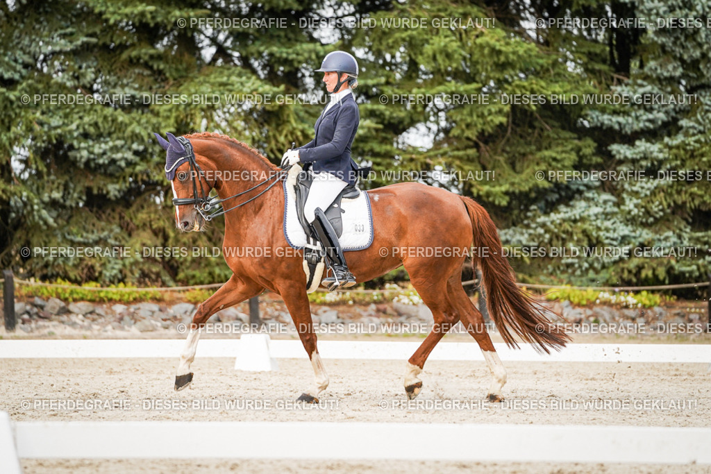 DSC09147 | Pferdegrafie