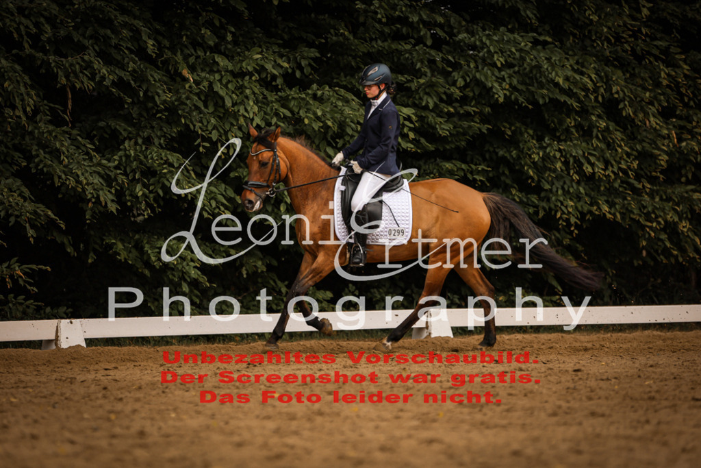 DoDrE00379 | Leoni Ertmer Photography - Realisiert mit Pictrs.com