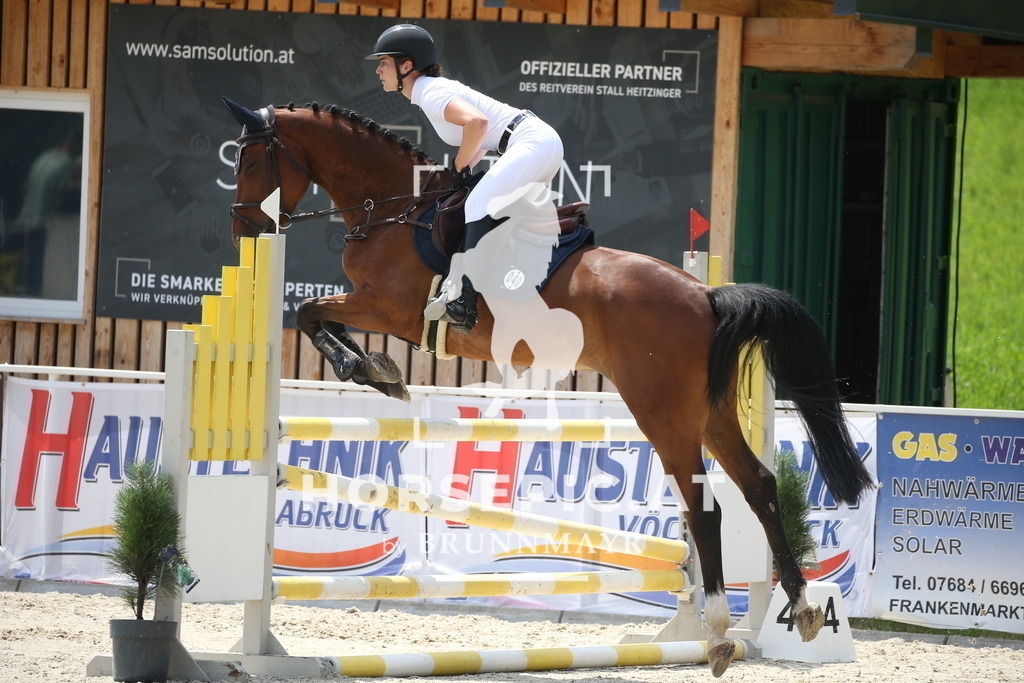 DL2Q0050 | Willkommen bei Brunnmayr - Design & Fotografie – Ihrem Spezialisten für Reitturniere und Pferdeveranstaltungen in Oberösterreich, Salzburg und Bayern! Seit über 17 Jahren sind wir leidenschaftlich dabei.