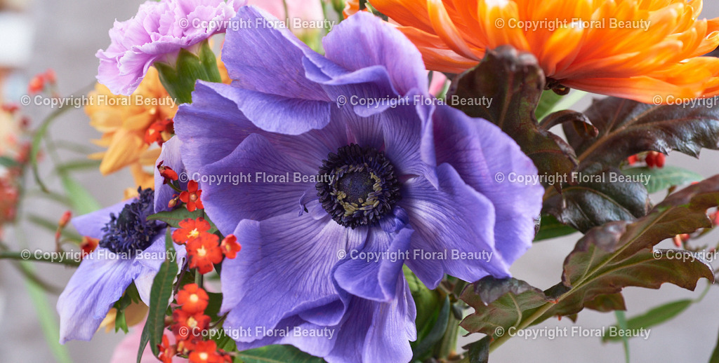Strauss_alte_Meister_lila_orange | Lila-oranger Blumenstrauß im Stil der alten Meister auf grauem Untergrund - Realisiert mit Pictrs.com