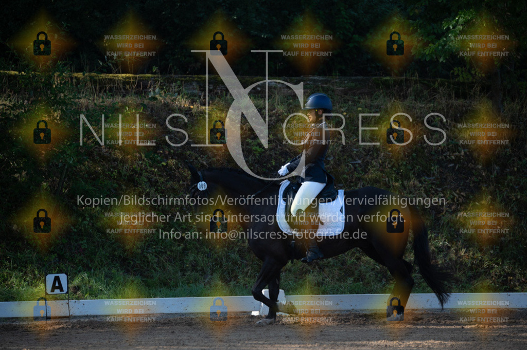 DSC_7866 | Nils Cress - Fotografie - Realisiert mit Pictrs.com