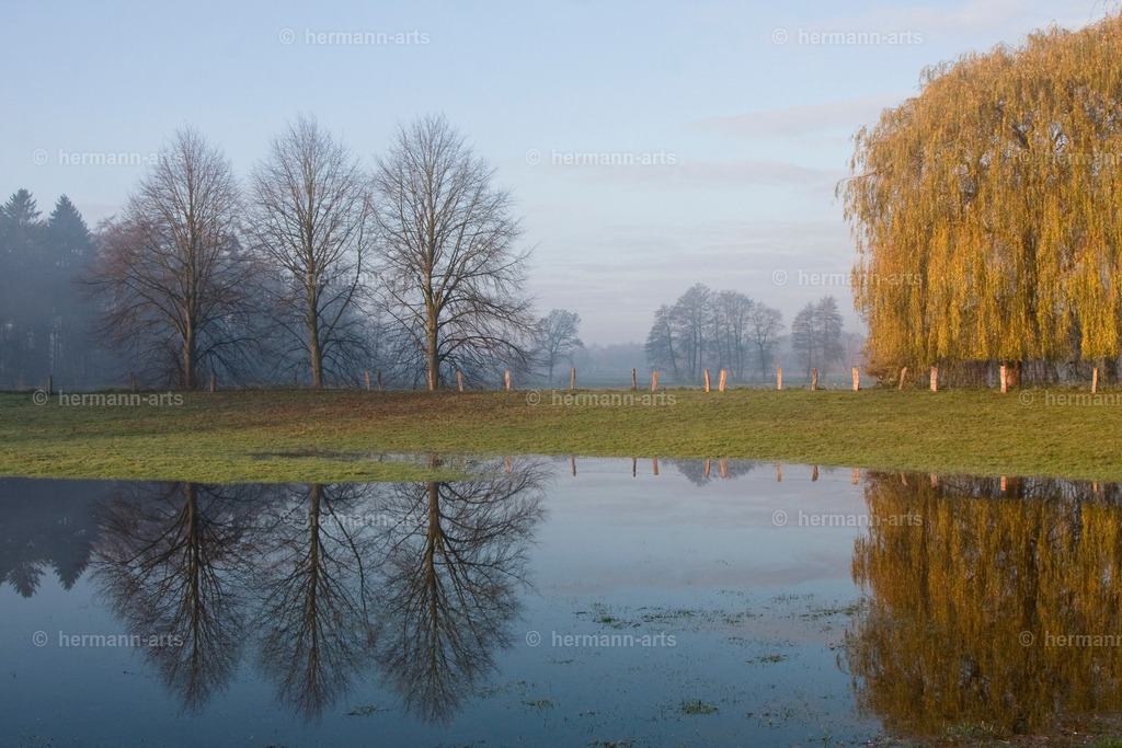 Nature-Arts-017 | Photo Foto Kunst Art schwarzweiss Bilder Rheine Münster Berlin Blumen 