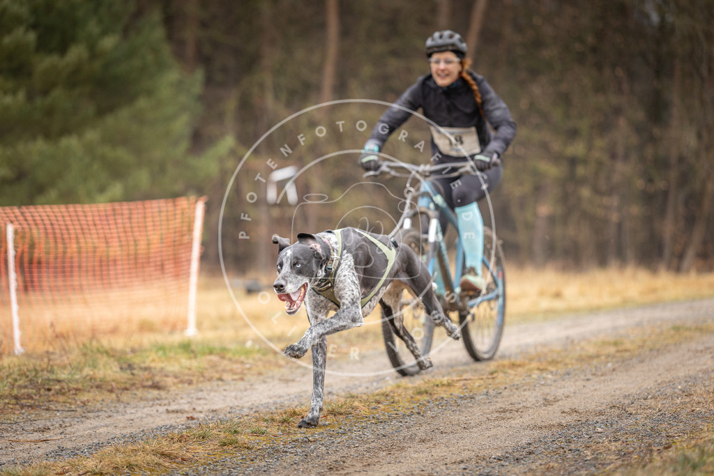 DV3A3218 | Hundefotografie, Tierfotograf, Pfotenfotografie, Fotoshooting Hund, Hunde Portrait, Hundesport, Hundeportraits, Heideshooting, Hunde, Sportfotograf, Hundefotograf, Turnierhundsport, THS,  - Realisiert mit Pictrs.com