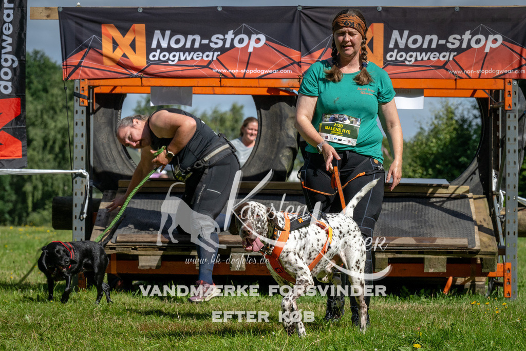 1105_ZZ91842 | kk-dogfotos