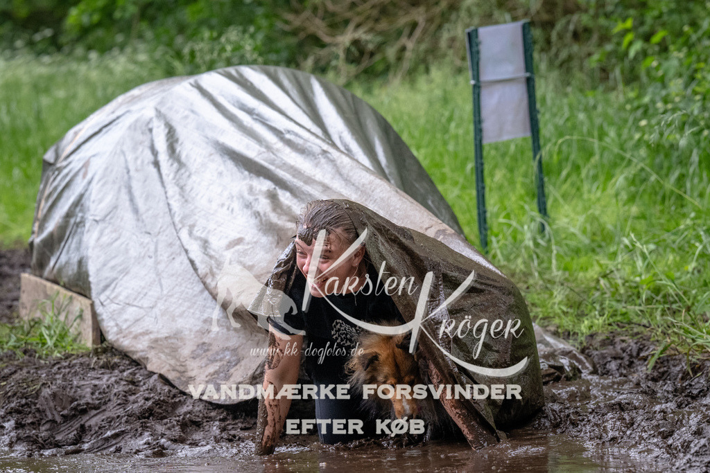 1640_ZZ94755-Bearbeitet | kk-dogfotos