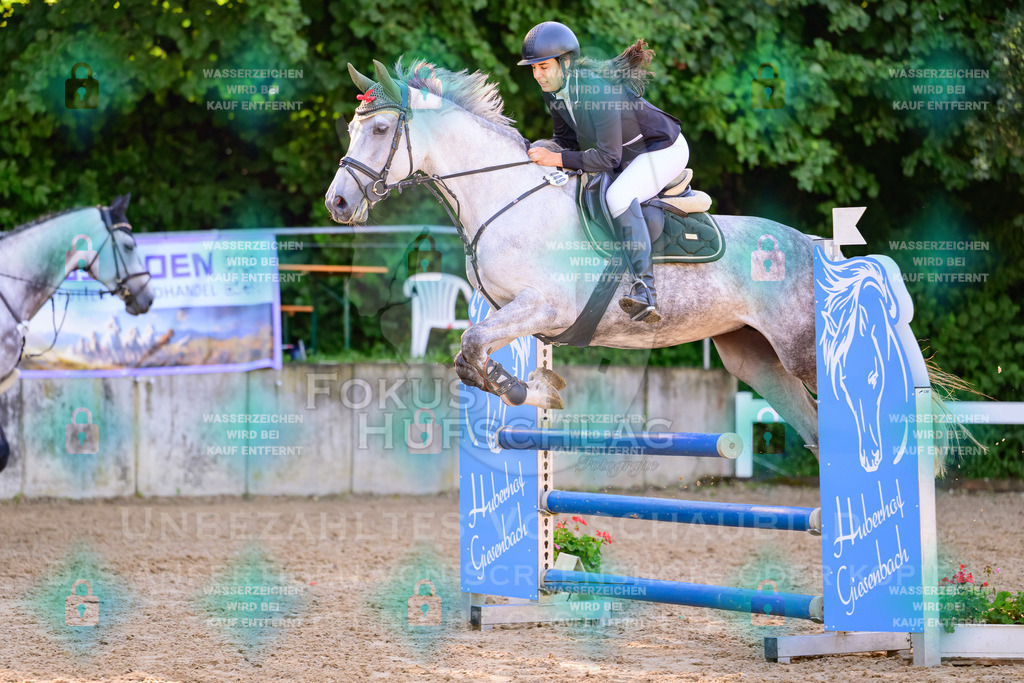 30082026-Giesenbach-Prfg16-0085 | Fokus Hufschlag Fotografie - Realisiert mit Pictrs.com