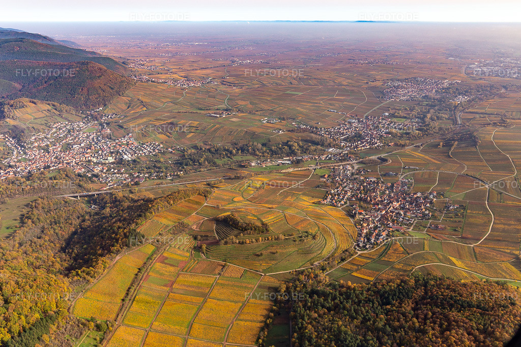 Luftbild: Kastanienbusch in Birkweiler im Bundesland Rheinland-Pfalz in Deutschland. Foto: IMG_123731.jpg vom 07.11.2020 durch Werner Riehm/FLY-FOTO.de