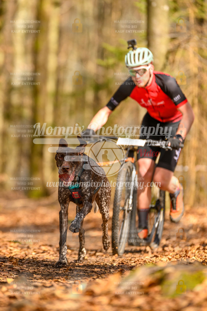 MompixPhotography_Habay2025_SA_SCO-5 | PayLife